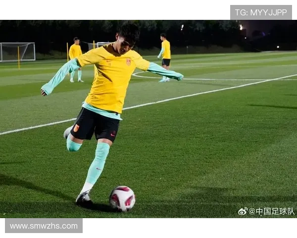 刘敏专访：从绿茵场到人生舞台的足球旅程回顾与展望