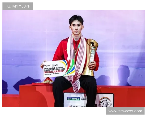 羽毛球实力排行榜揭晓北京羽毛球队荣获第七名佳绩